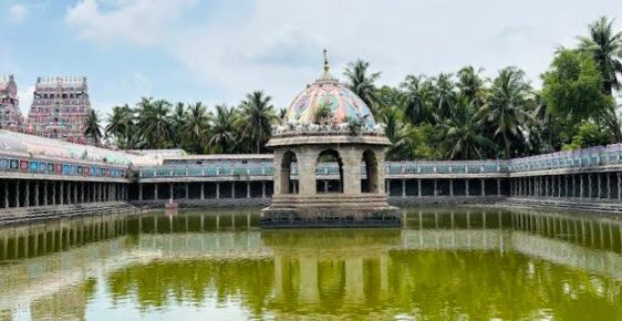 Nadi Astrology Palm Leaf Reading